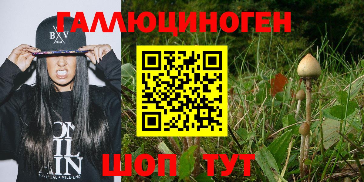 Надым  Галлюциногенные грибы Cubensis  Галлюциногенные грибы ЛСД  что такое наркотик  Вход с VPN 
