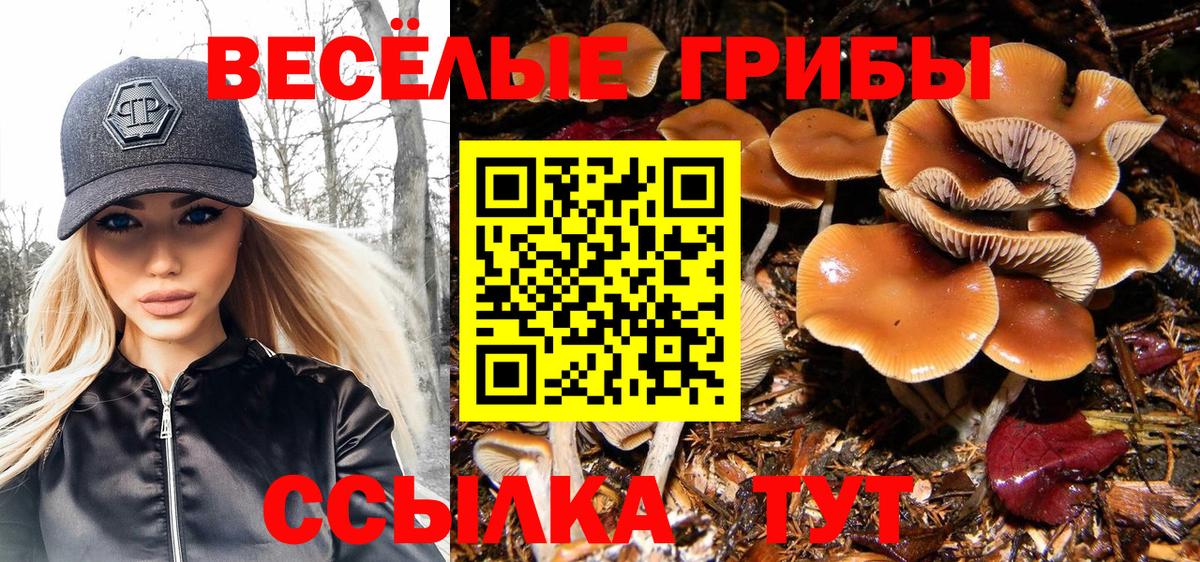 Галлюциногенные грибы ЛСД Надым